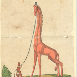 Zeichnung einer Giraffe des Malers Melchior Lorcks am Hofe in Konstantinopel