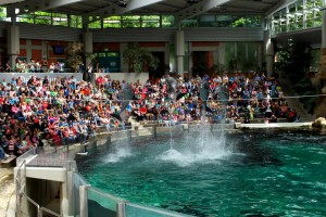 Volle Besucherränge im Delfinarium des Zoo Duisburg | Foto: zoos.media