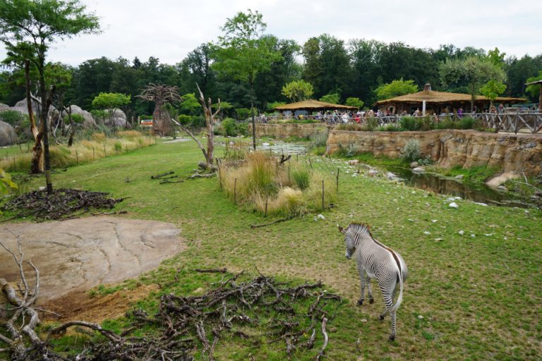 Zurich Zoo Celebration Conservation Award 2022 zoosmedia