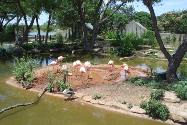 Zoo Logic The Wild Side with Clay zoosmedia